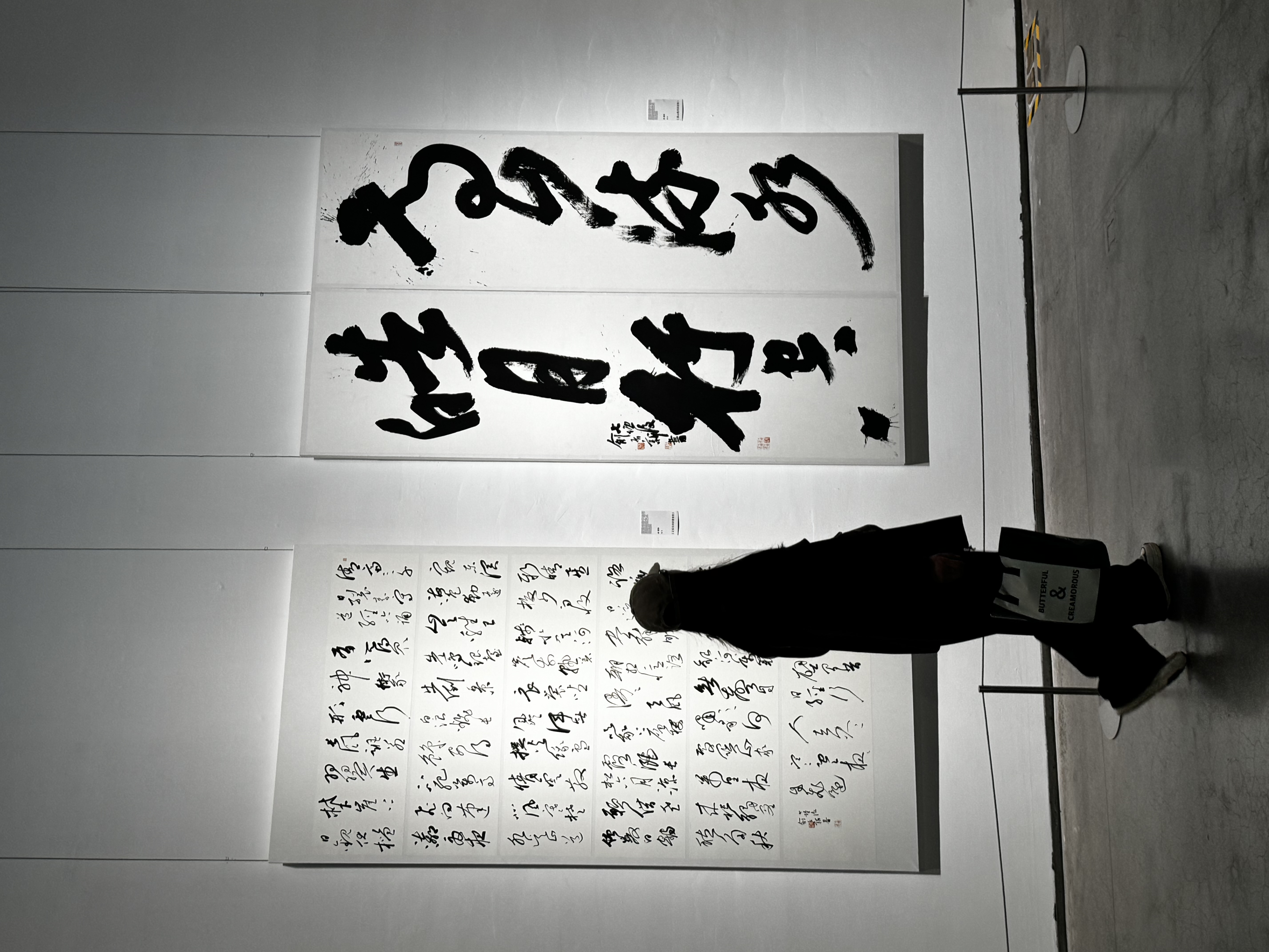 书法展览