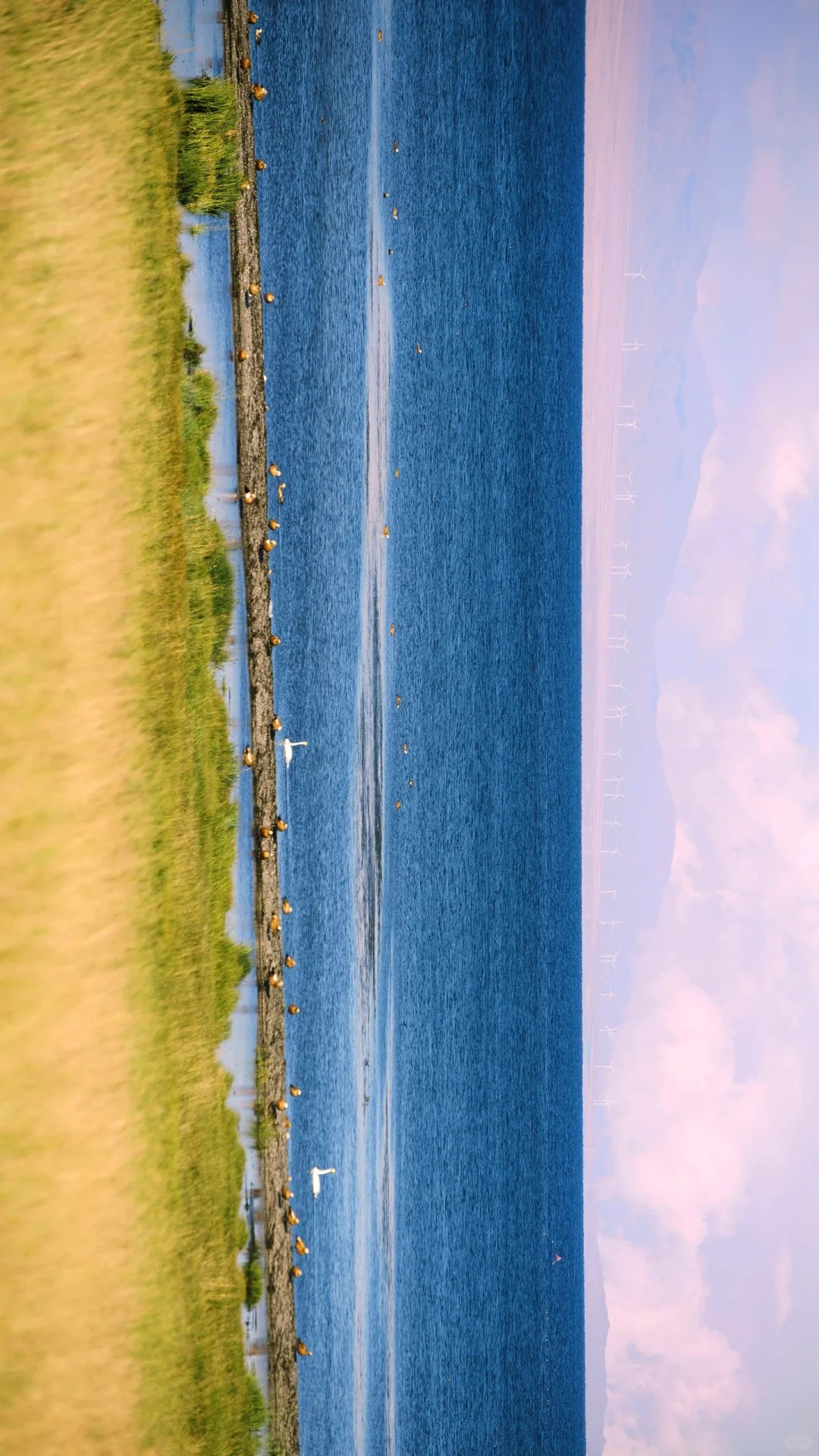 首屏背景